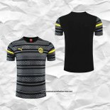 Borussia Dortmund Camiseta de Entrenamiento 2022-2023 Gris
